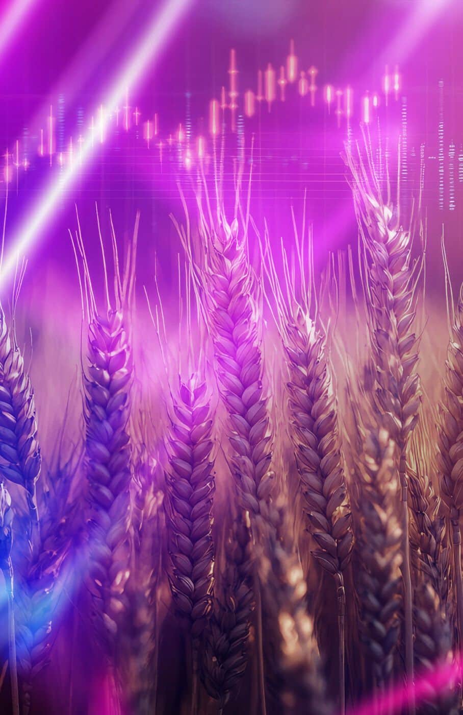 agricultural-commodities.jpg